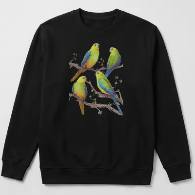 Illustration of four colorful parrots on branches, showcasing vibrant hues — printed on a unisex sweatshirt