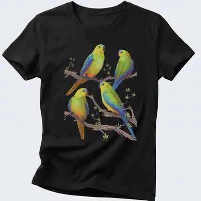 Illustration of four colorful parrots on branches, showcasing vibrant hues — printed on a women's shirt