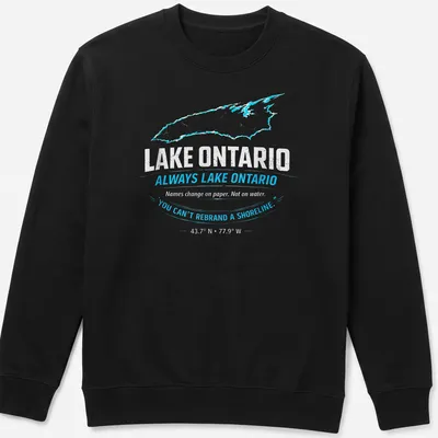 Distressed design t-shirt featuring Lake Ontario and humorous text about shorelines — printed on a unisex sweatshirt