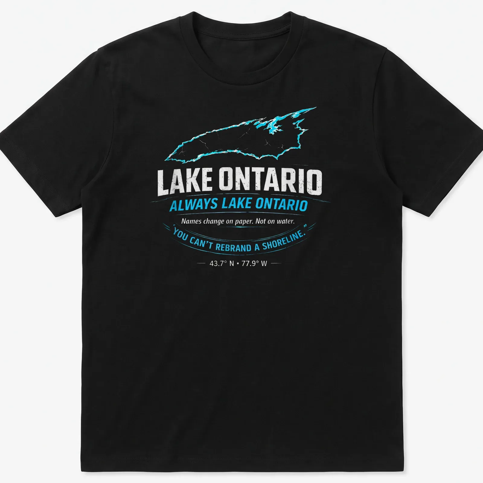 Distressed design t-shirt featuring Lake Ontario and humorous text about shorelines — printed on a unisex t-shirt