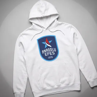 Anadolu Efes logo t-shirt with a modern emblem in blue, red, and white — printed on a unisex hoodie