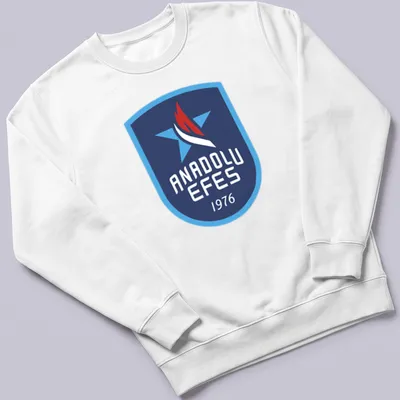 Anadolu Efes logo t-shirt with a modern emblem in blue, red, and white — printed on a unisex sweatshirt
