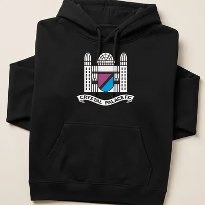Line-art style Crystal Palace F.C. crest T-shirt in black, blue, purple, and white. — printed on a unisex hoodie