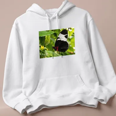 Realistic print of a Sapho Longwing Butterfly resting on a green leaf — printed on a unisex hoodie