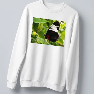 Realistic print of a Sapho Longwing Butterfly resting on a green leaf — printed on a unisex sweatshirt