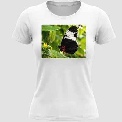 Realistic print of a Sapho Longwing Butterfly resting on a green leaf — printed on a women's shirt