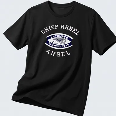 Vintage badge design of an angel with the text 'ENTOMBED MORNING STAR' in navy, white, and pink