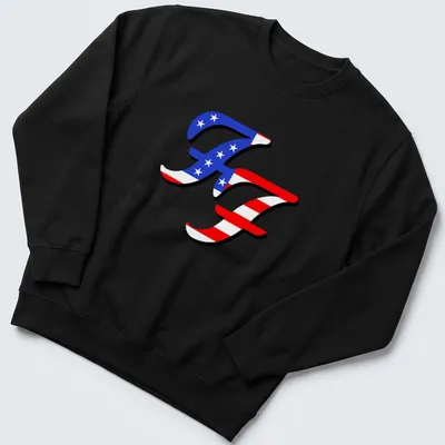 Bold graphic t-shirt featuring American flag lettering with 'Freedom Fighter' text — printed on a unisex sweatshirt