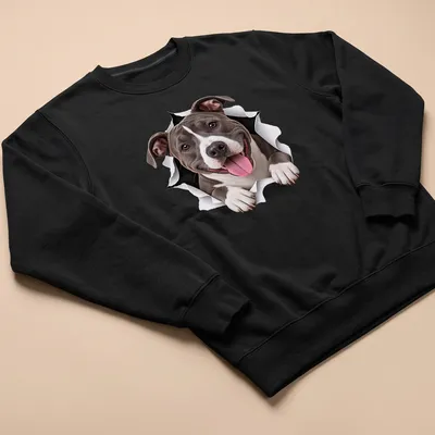 Realistic graphic of a cute American Staffordshire Terrier peeking out in gray, white, and black — printed on a unisex sweatshirt