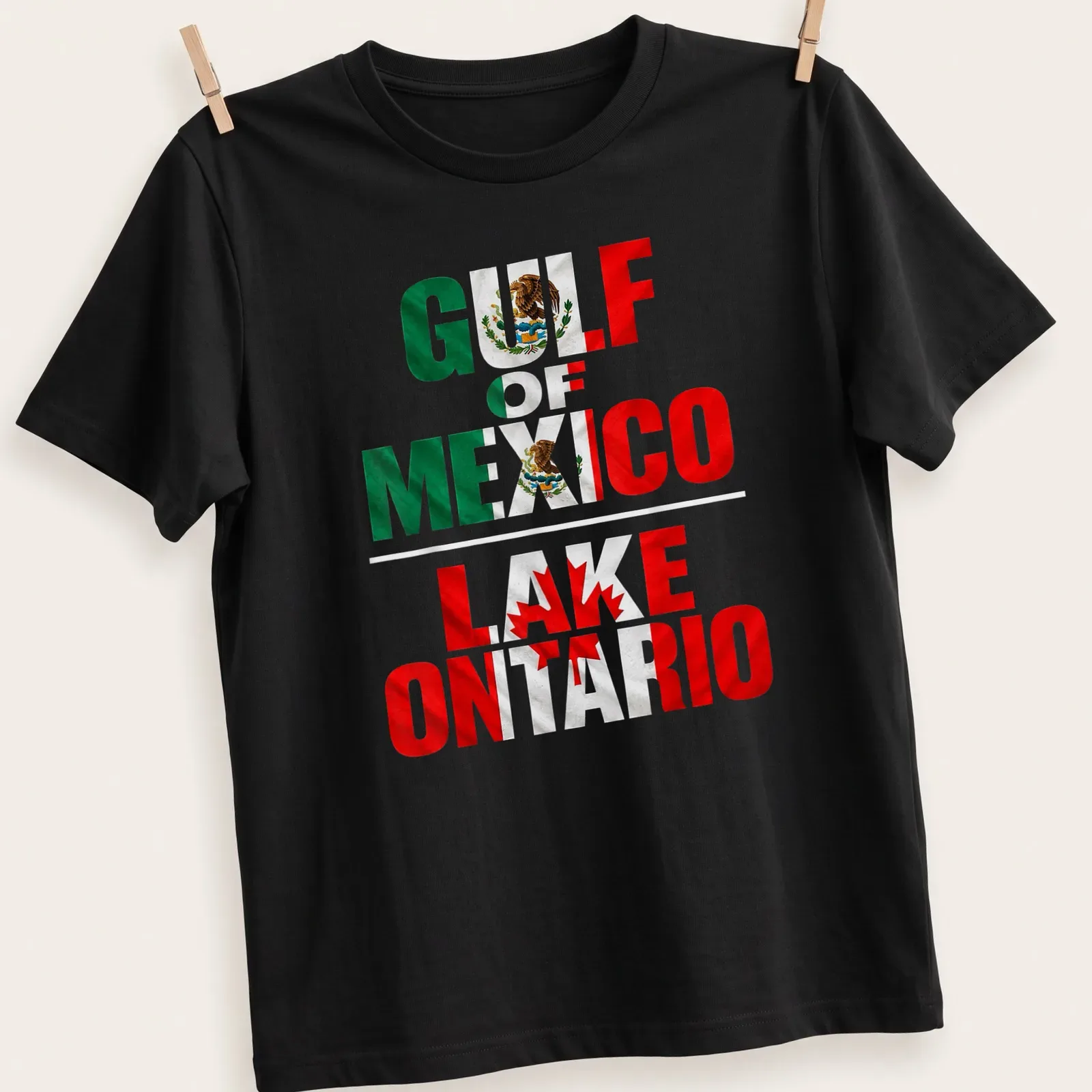 Geography-themed shirt with bold text and flags representing Gulf of Mexico and Lake Ontario — printed on a unisex t-shirt