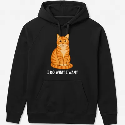 Cartoon of an orange tabby cat with text saying 'I DO WHAT I WANT' in colorful letters — printed on a unisex hoodie