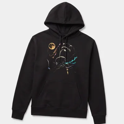 Colorful illustration of a raccoon with retro text Jimothy Raccoon Seattle Feral Legend — printed on a unisex hoodie