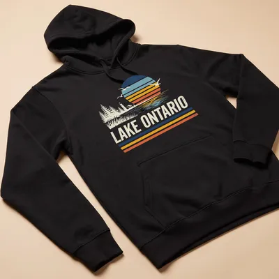 Retro vintage Lake Ontario sunset scene with birds and trees in orange and blue hues — printed on a unisex hoodie