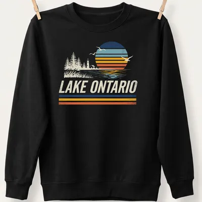 Retro vintage Lake Ontario sunset scene with birds and trees in orange and blue hues — printed on a unisex sweatshirt