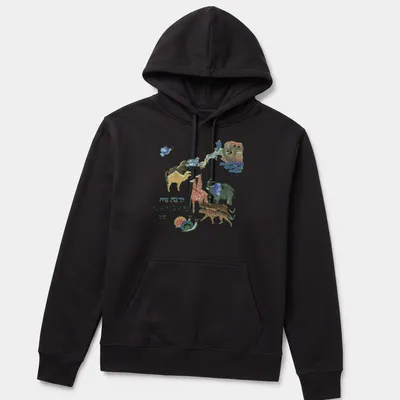 Vintage Noah's Ark t-shirt featuring colorful animals and whimsical illustration — printed on a unisex hoodie