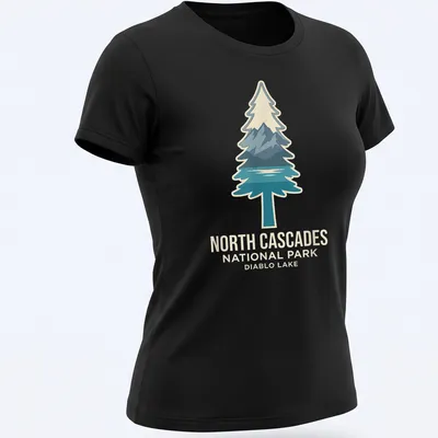 Mountain landscape featuring Diablo Lake and trees with modern graphic style — printed on a women's shirt