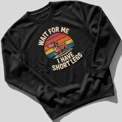 Retro Dachshund t-shirt with humorous text about short legs in warm colors — printed on a unisex sweatshirt